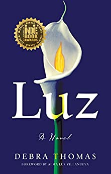 Luz book cover
