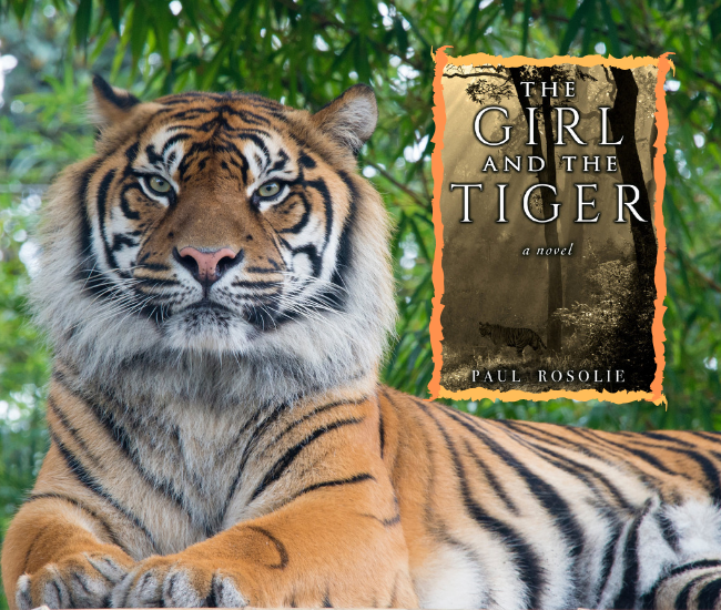 The Girl and the Tiger cover